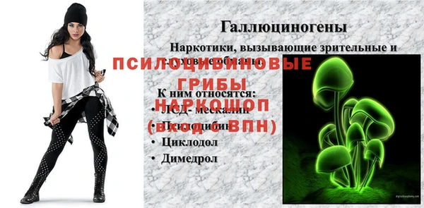 эйфоретик Алзамай
